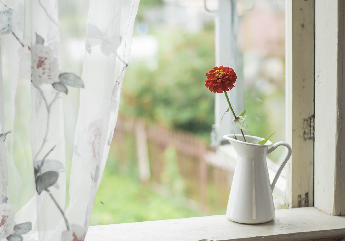 window open jug with flower on windowsill